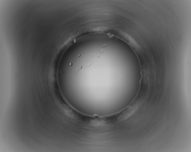 X0000113930354200910021247