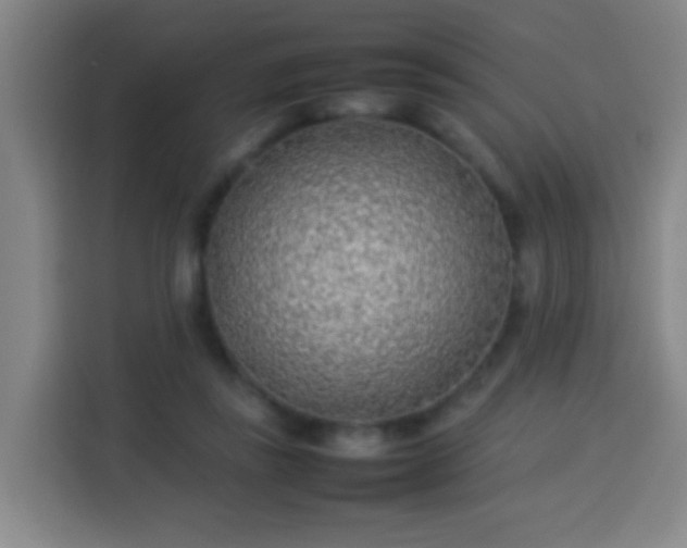 X0000113930355200910021247