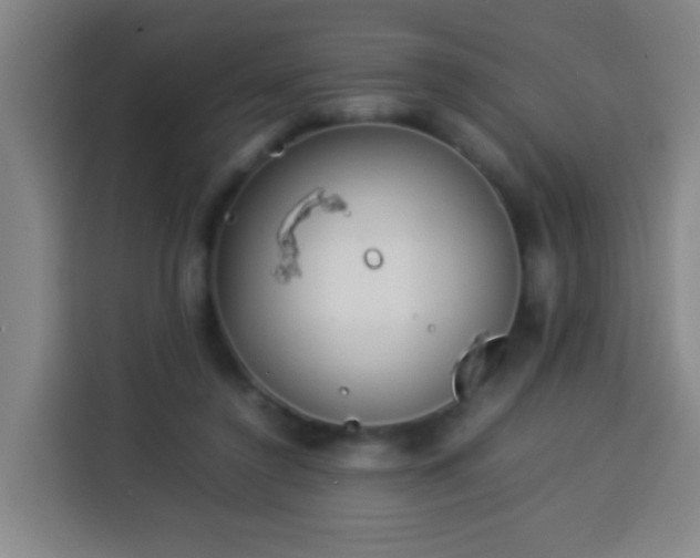 X0000113930356200910021247