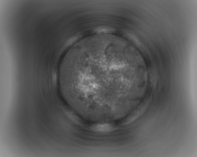 X0000113930357200910021247