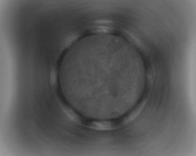 X0000113930359200910021247