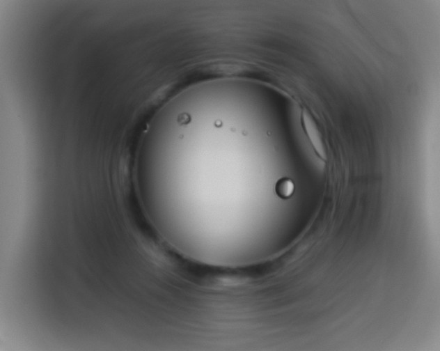 X0000113930360200910021247