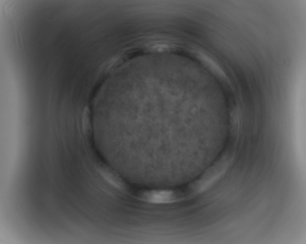 X0000113930361200910021247