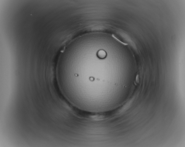 X0000113930362200910021247