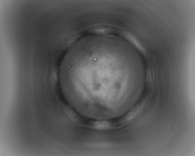 X0000113930363200910021247