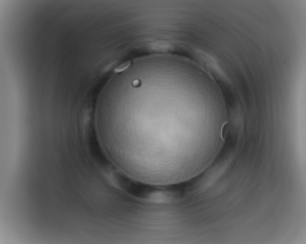 X0000113930364200910021247