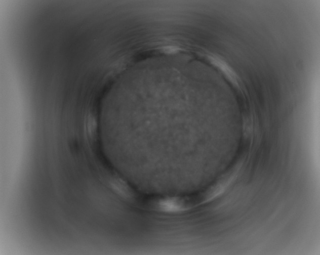 X0000113930365200910021247