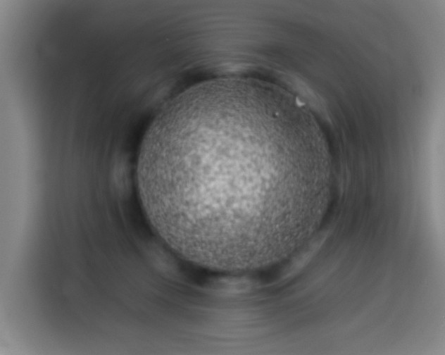 X0000113930366200910021247