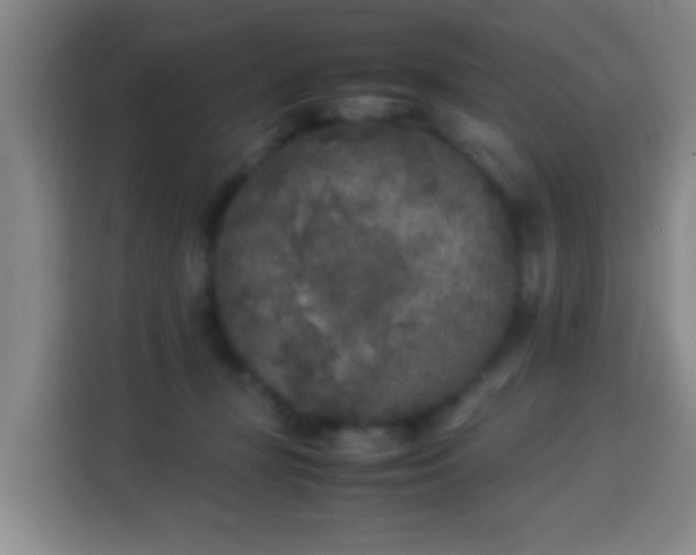 X0000113930367200910021247