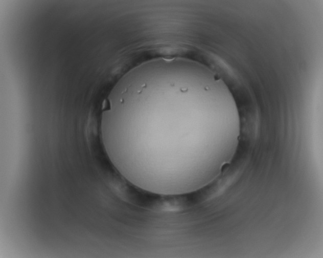 X0000113930368200910021247