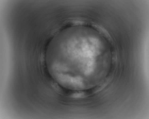 X0000113930369200910021247