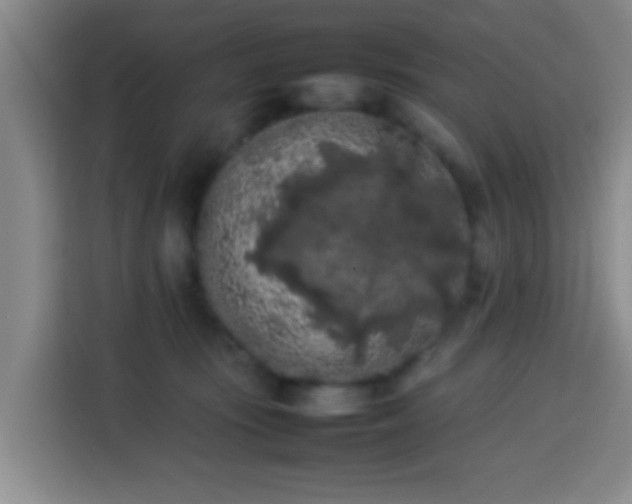 X0000113930371200910021247