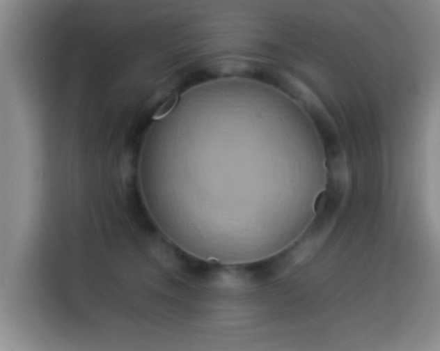 X0000113930372200910021247