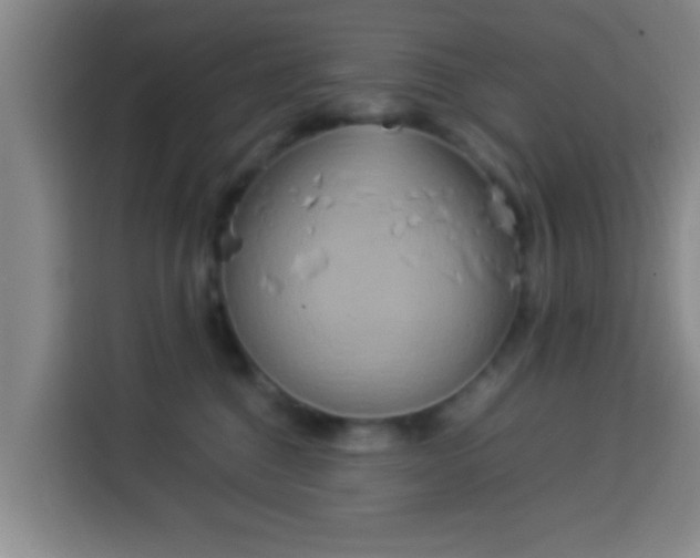 X0000113930376200910021247