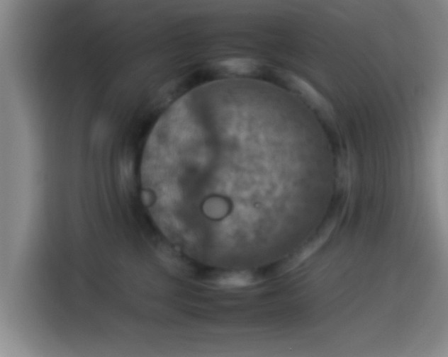 X0000113930377200910021247