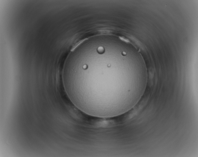 X0000113930379200910021247