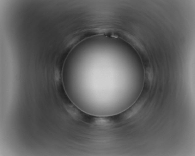 X0000113930380200910021247