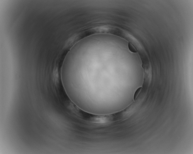 X0000113930381200910021247