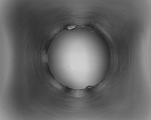 X0000113930384200910021247