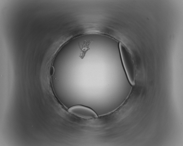 X0000113930385200910021246