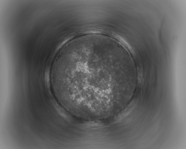 X0000113930386200910021246