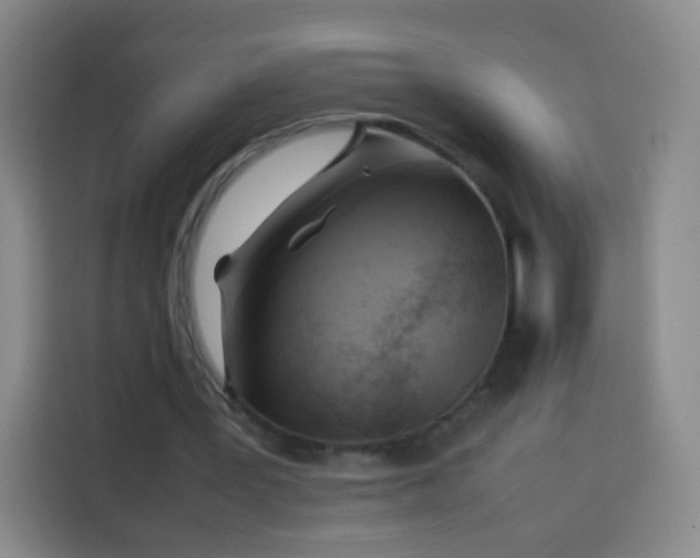 X0000113930387200910021246