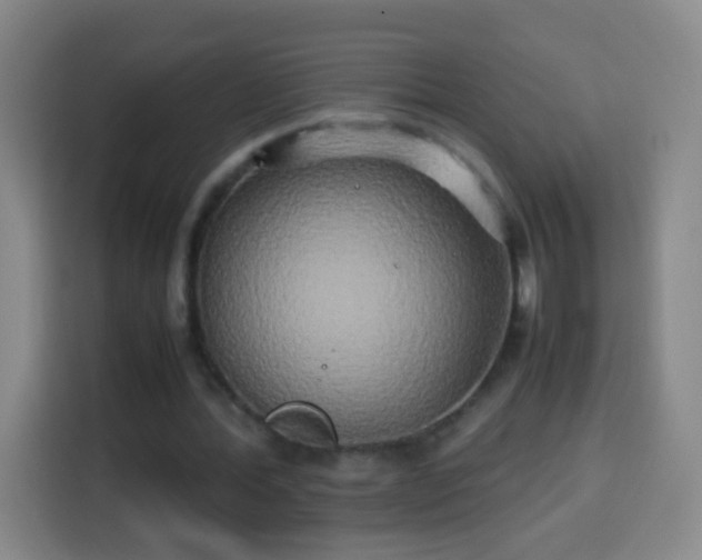 X0000113930388200910021246