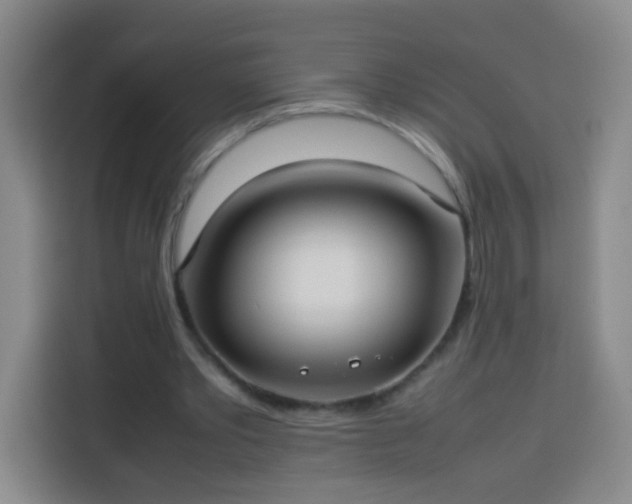 X0000113930389200910021246