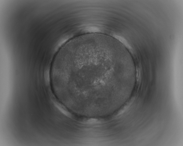 X0000113930390200910021246