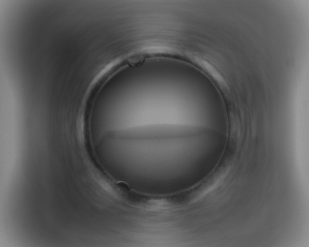 X0000113930391200910021246