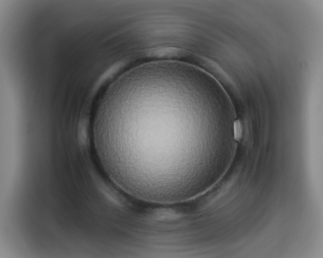 X0000113930392200910021246