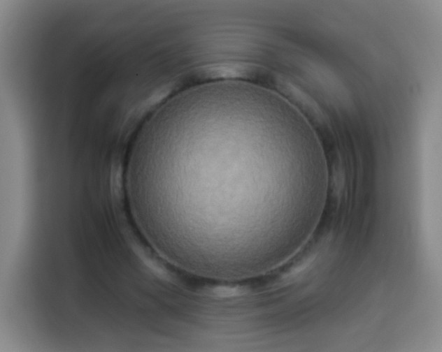 X0000113930394200910021246