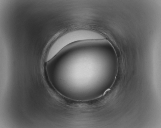 X0000113930395200910021246