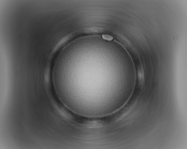 X0000113930396200910021246