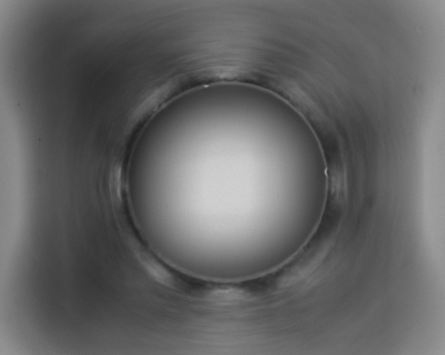 X0000113930397200910021246