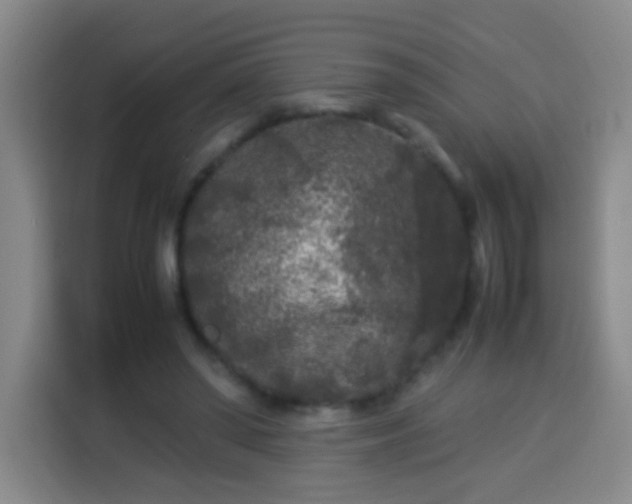 X0000113930398200910021246