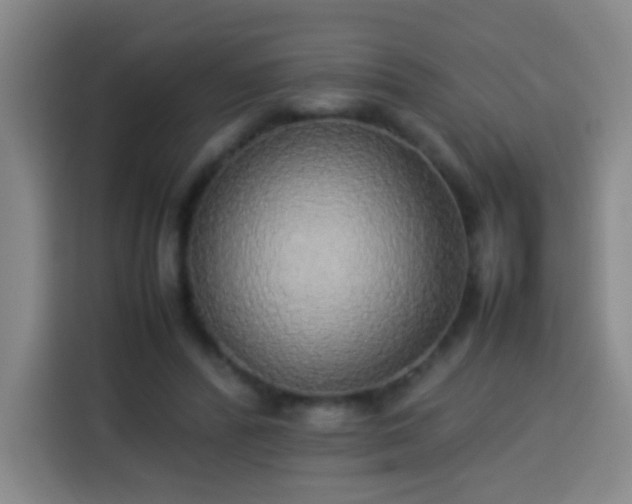 X0000113930400200910021246