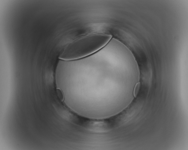 X0000113930401200910021246