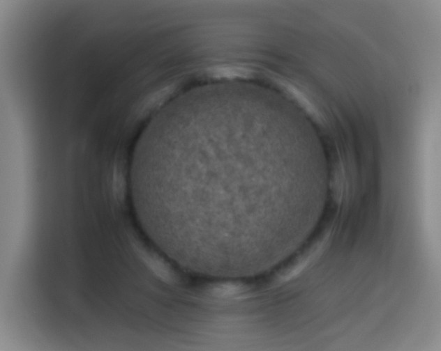 X0000113930402200910021246