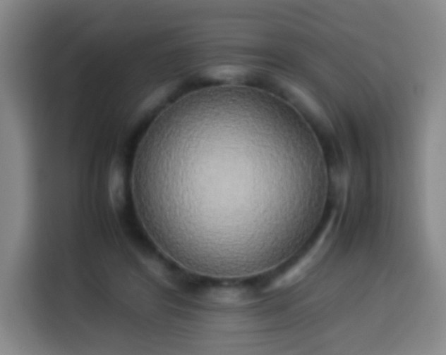 X0000113930404200910021246