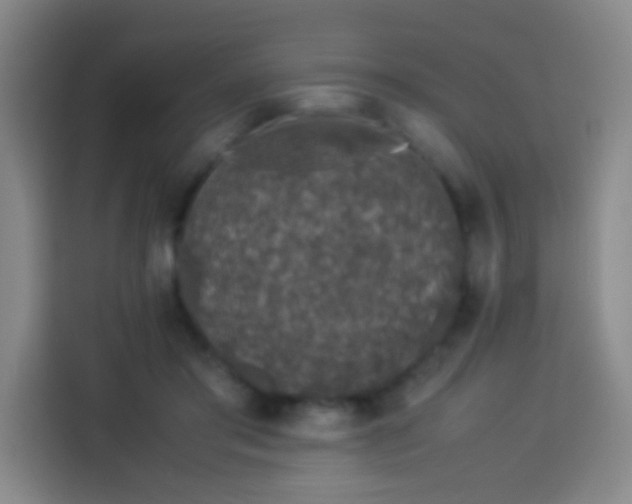 X0000113930405200910021246