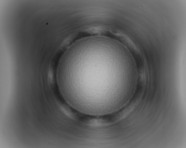 X0000113930408200910021246