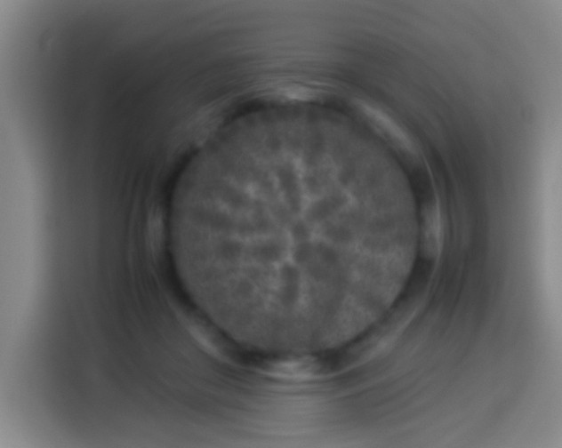 X0000113930410200910021246