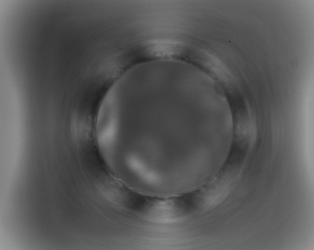 X0000113930411200910021246