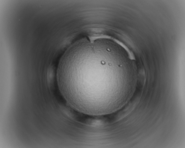 X0000113930412200910021246