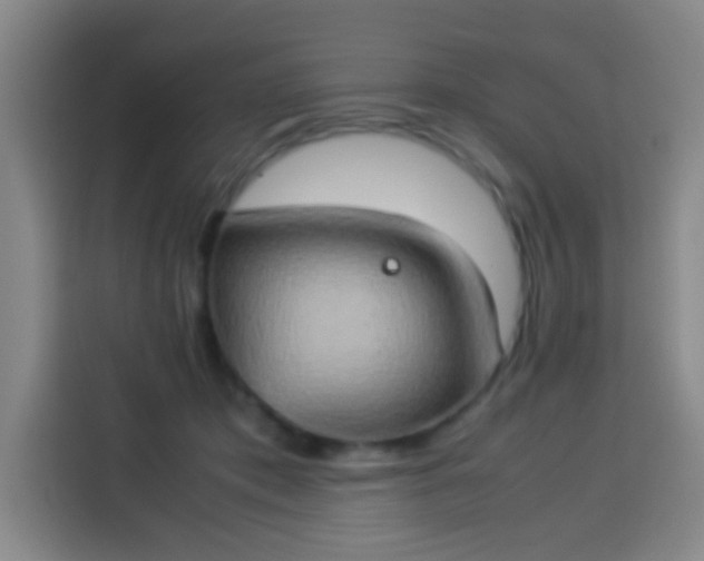 X0000113930413200910021246