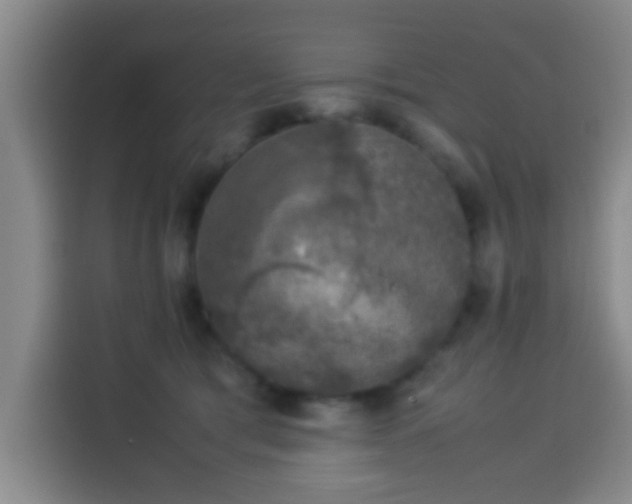 X0000113930417200910021246