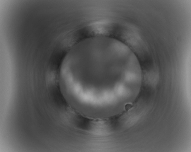 X0000113930419200910021246