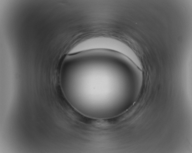 X0000113930421200910021246