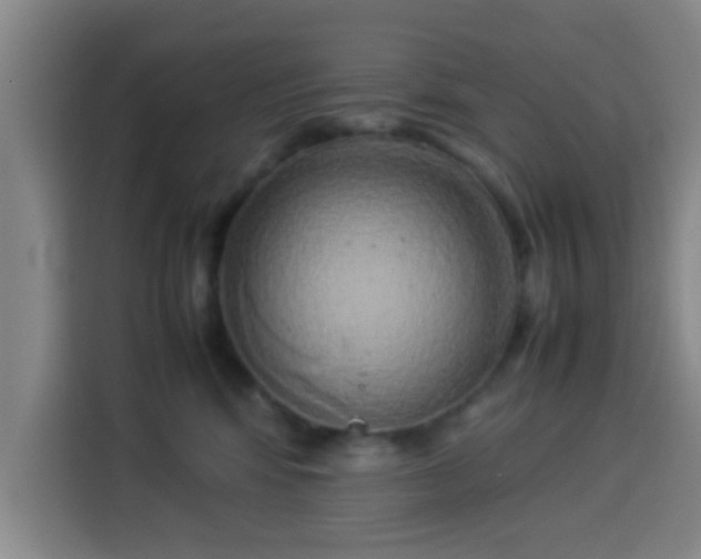 X0000113930424200910021246